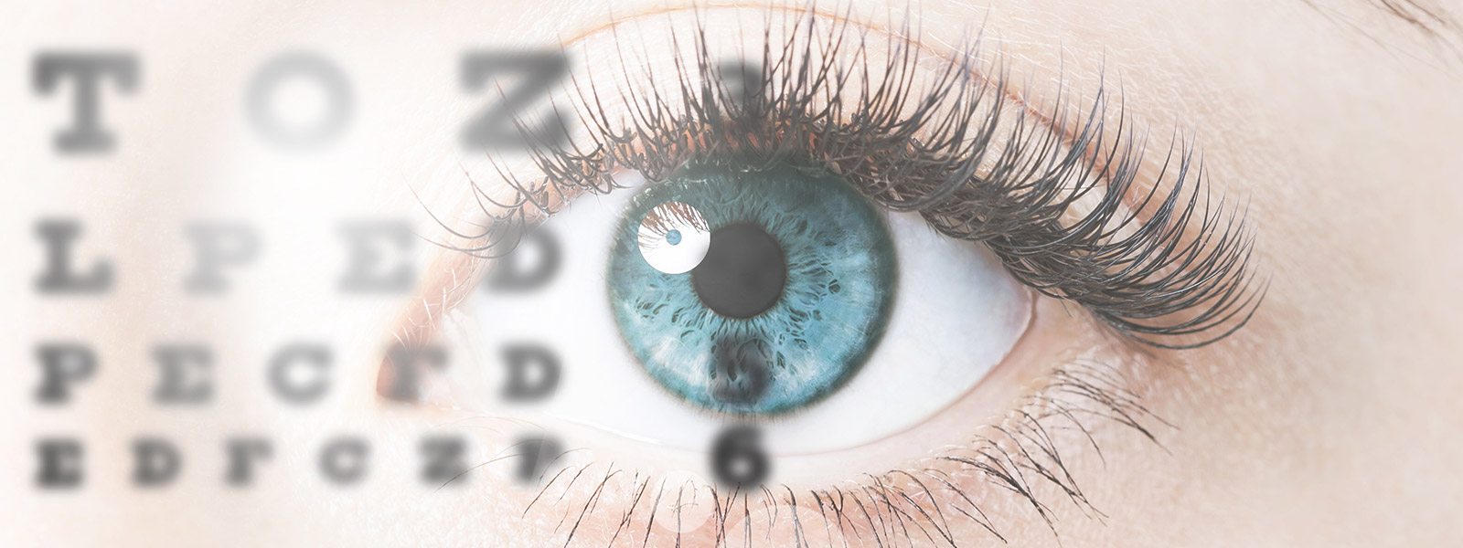 blog-image
